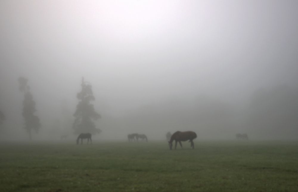 Photograph by ILONA KILA