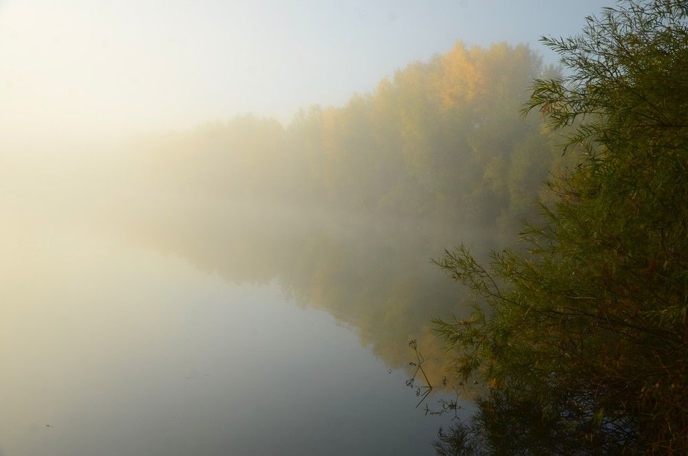 Photograph by Alexandr  Yatsenko