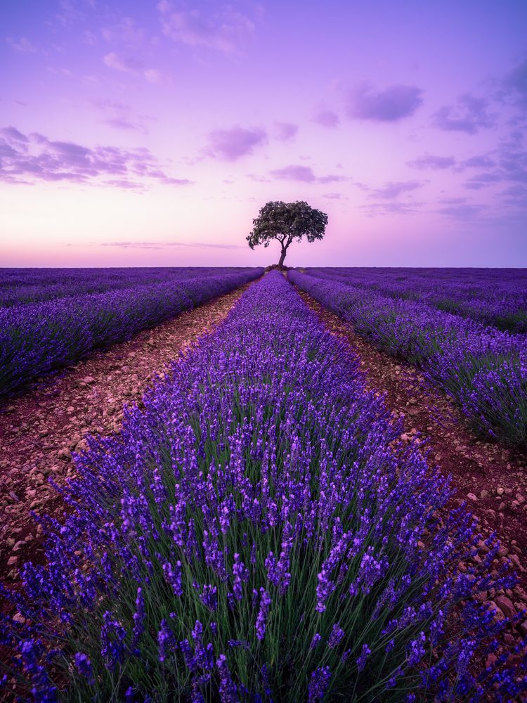 Photograph by Francisco Crusat