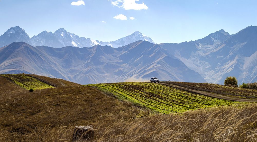 Photograph by Ольга Глухарёва