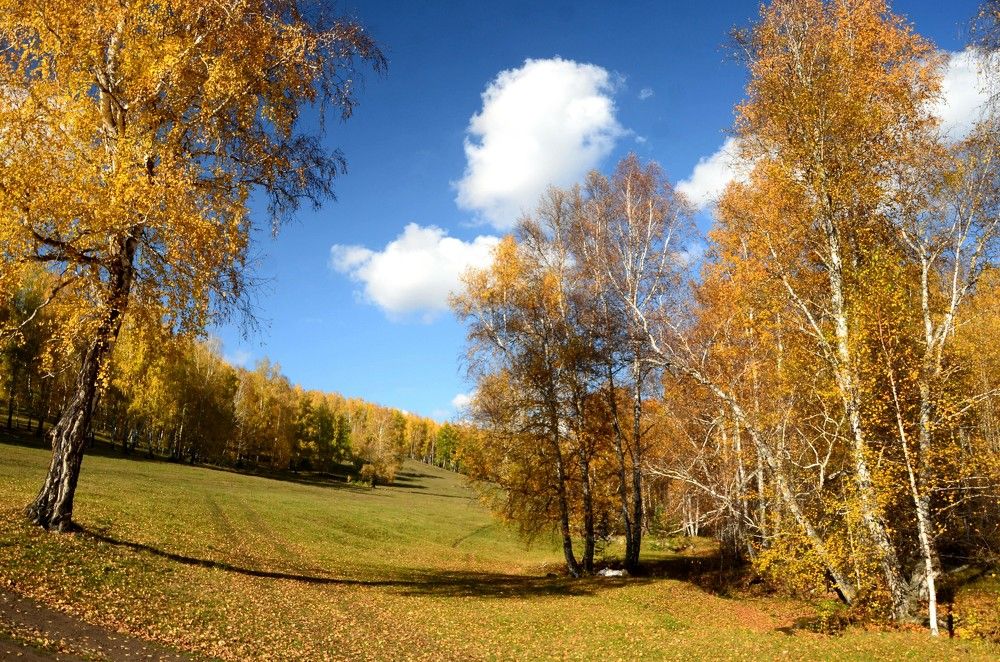 Photograph by Alexandr  Yatsenko