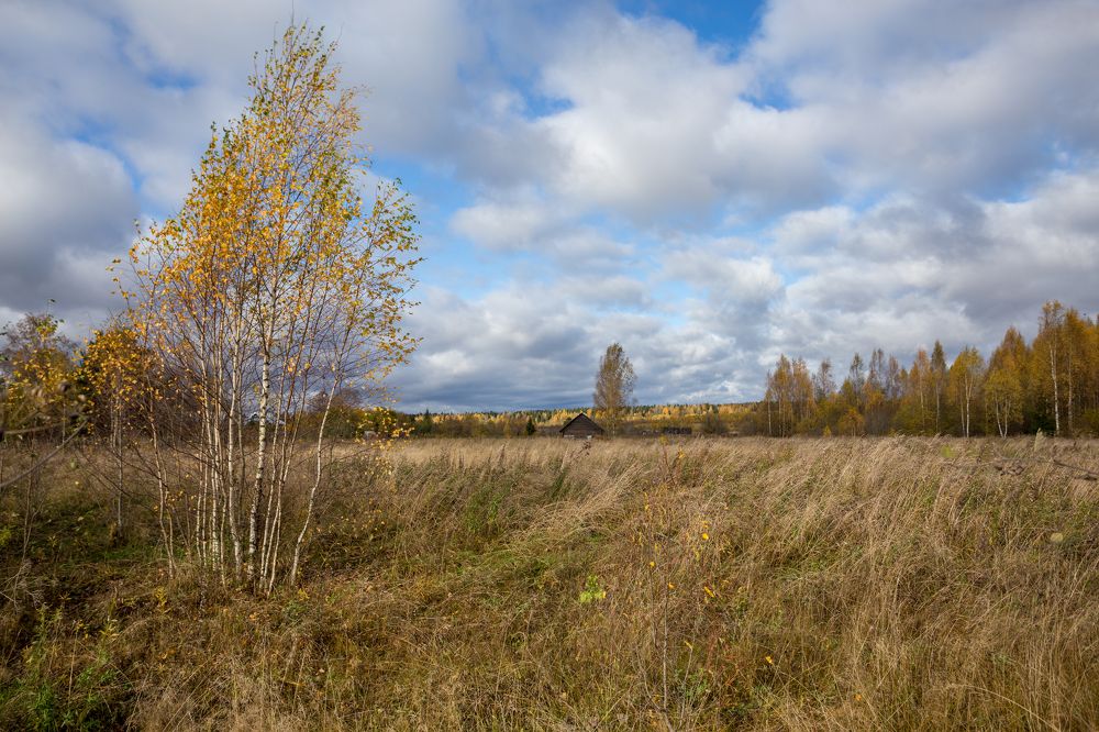 Photograph by Ekaterina Berendykhina
