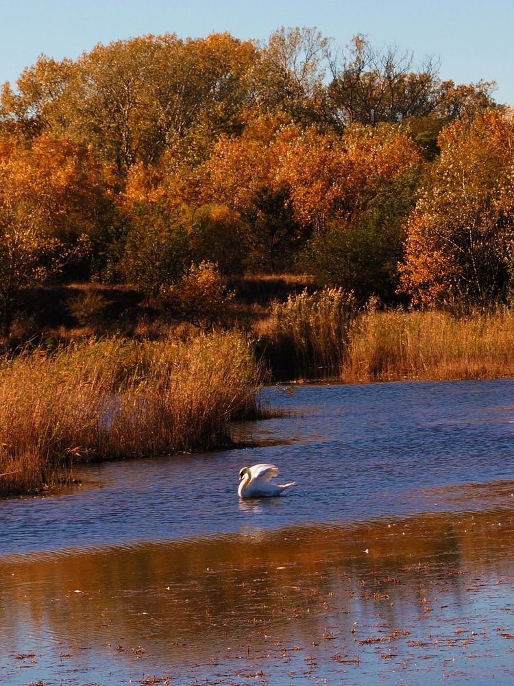 Photograph by Ирина Чувило