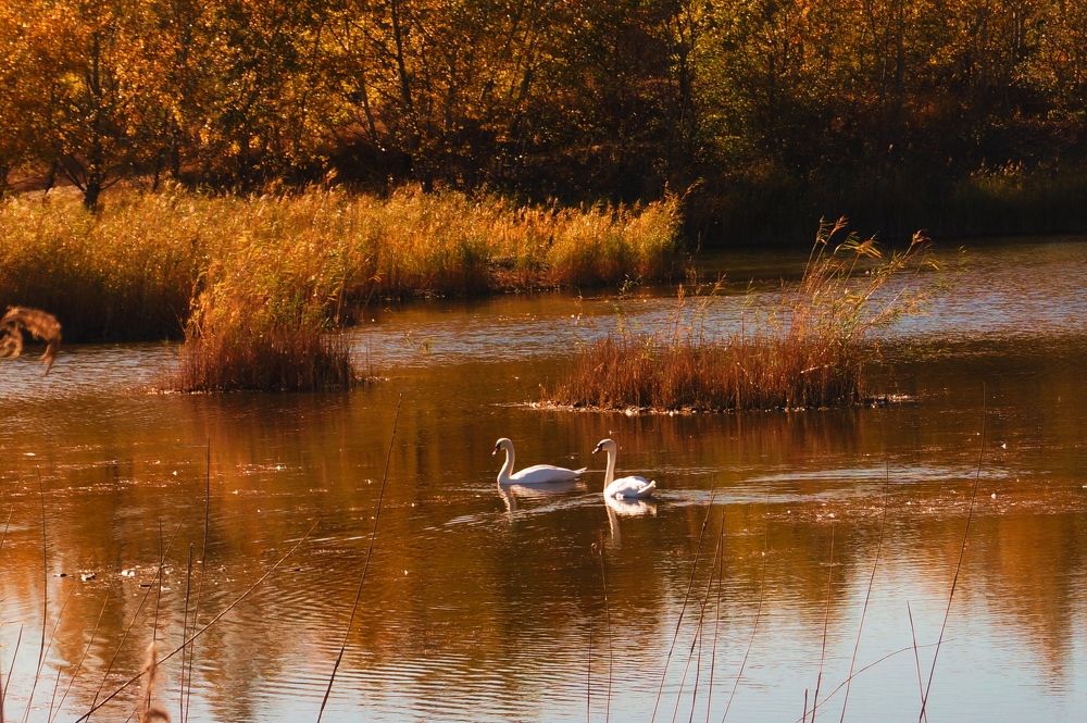 Photograph by Ирина Чувило