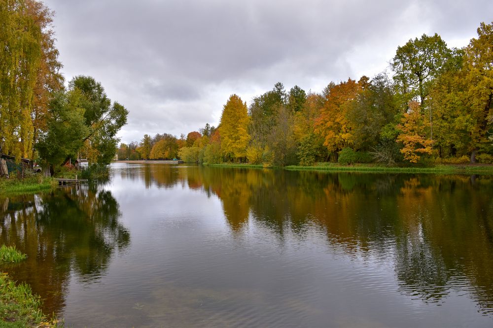 В Пушкинском парке.