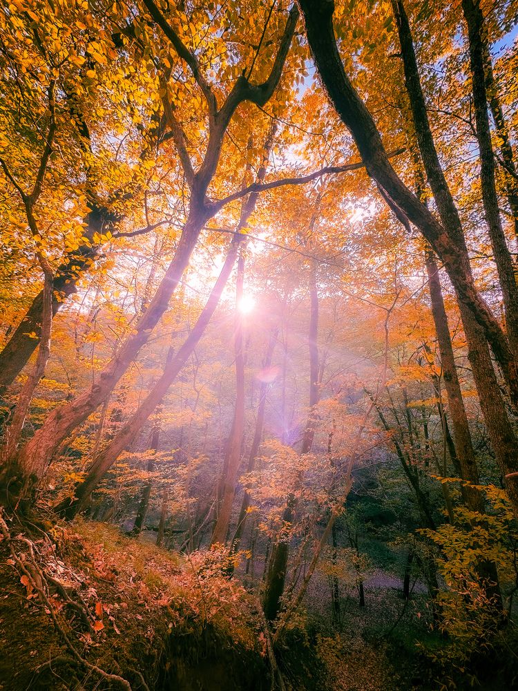 Photograph by Зара Нехай