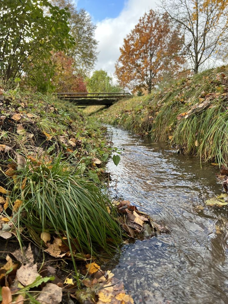 Photograph by Наталья Мэмэлигэ