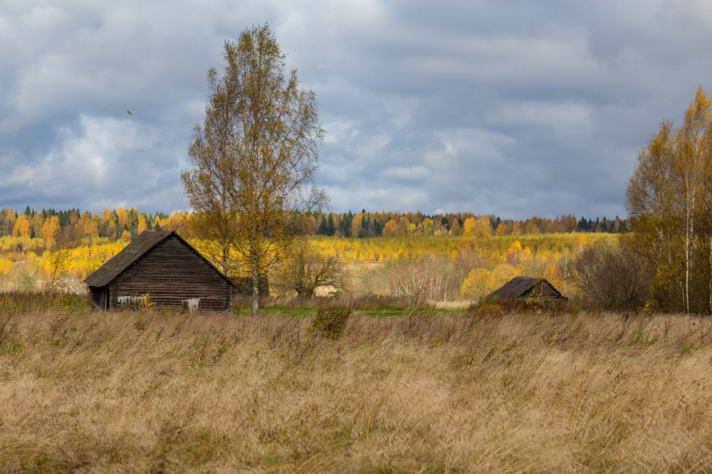 Photograph by Ekaterina Berendykhina