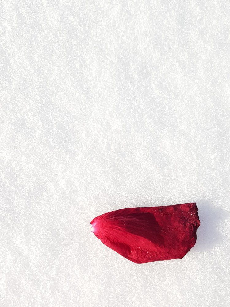 Фотография автора Максим Грибанов