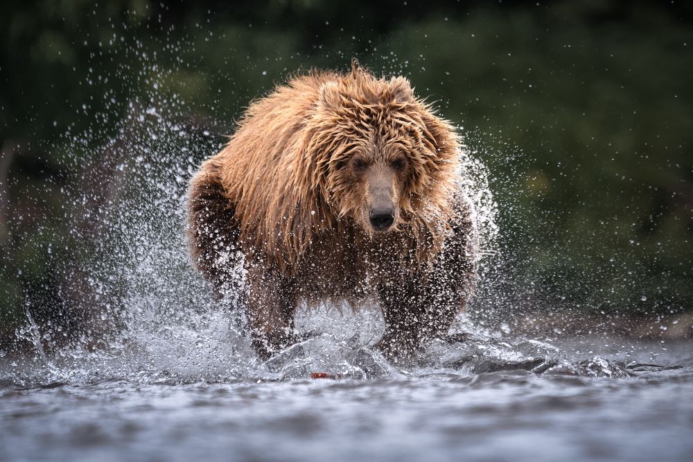 Шарообразность