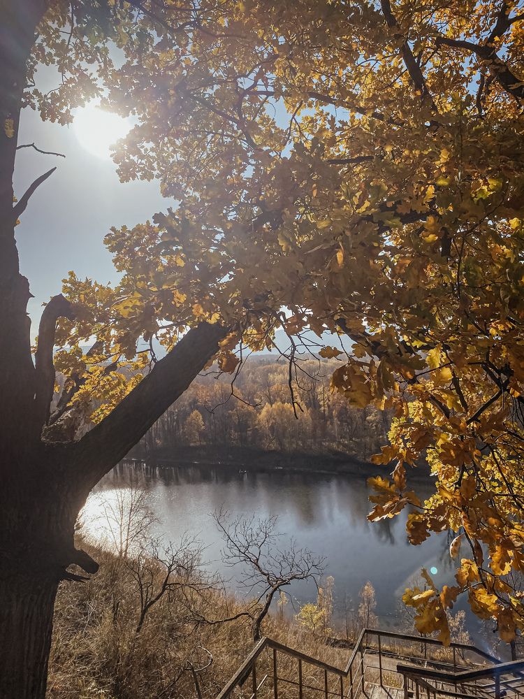 Photograph by Мария Белесова