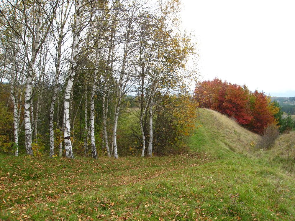 Photograph by Галина Воеводенко