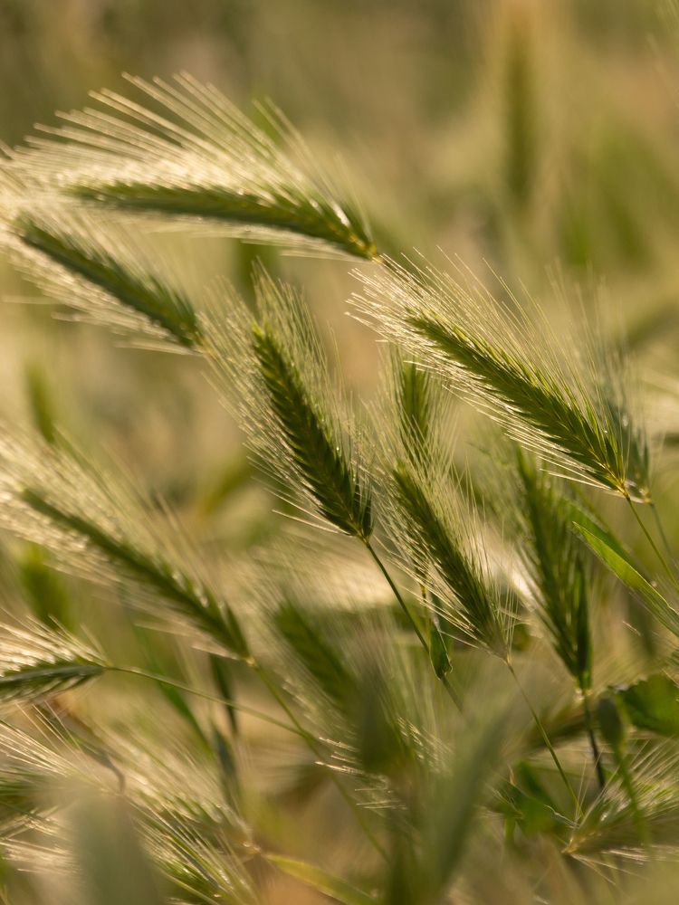 Photograph by Anna Levina