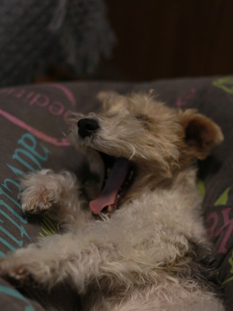 Photograph by Екатерина Сафронова