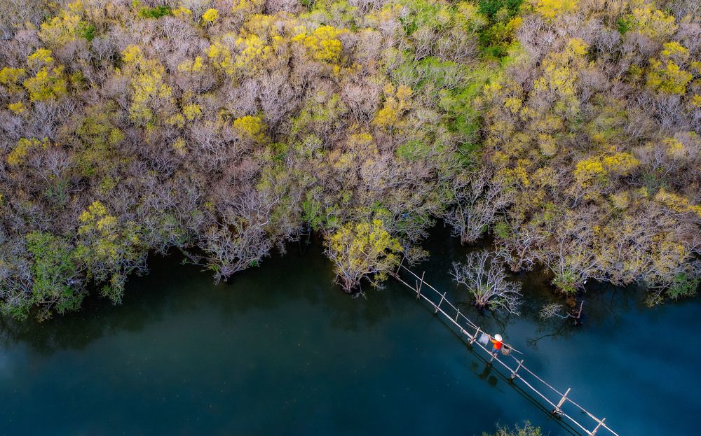 Photograph by thanhfab