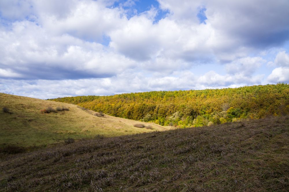 Photograph by Алексей Юдин