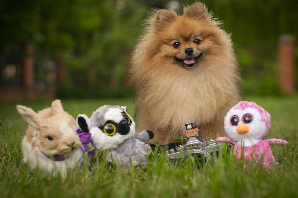 Photograph by Adler Roman