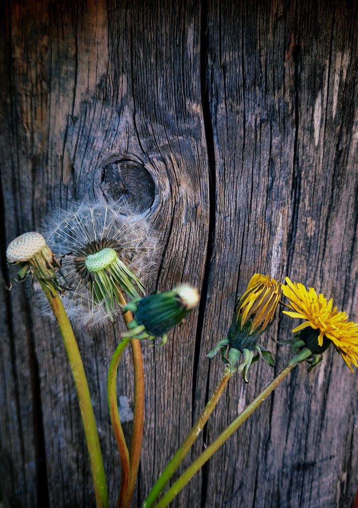 Photograph by Наталья Чередниченко