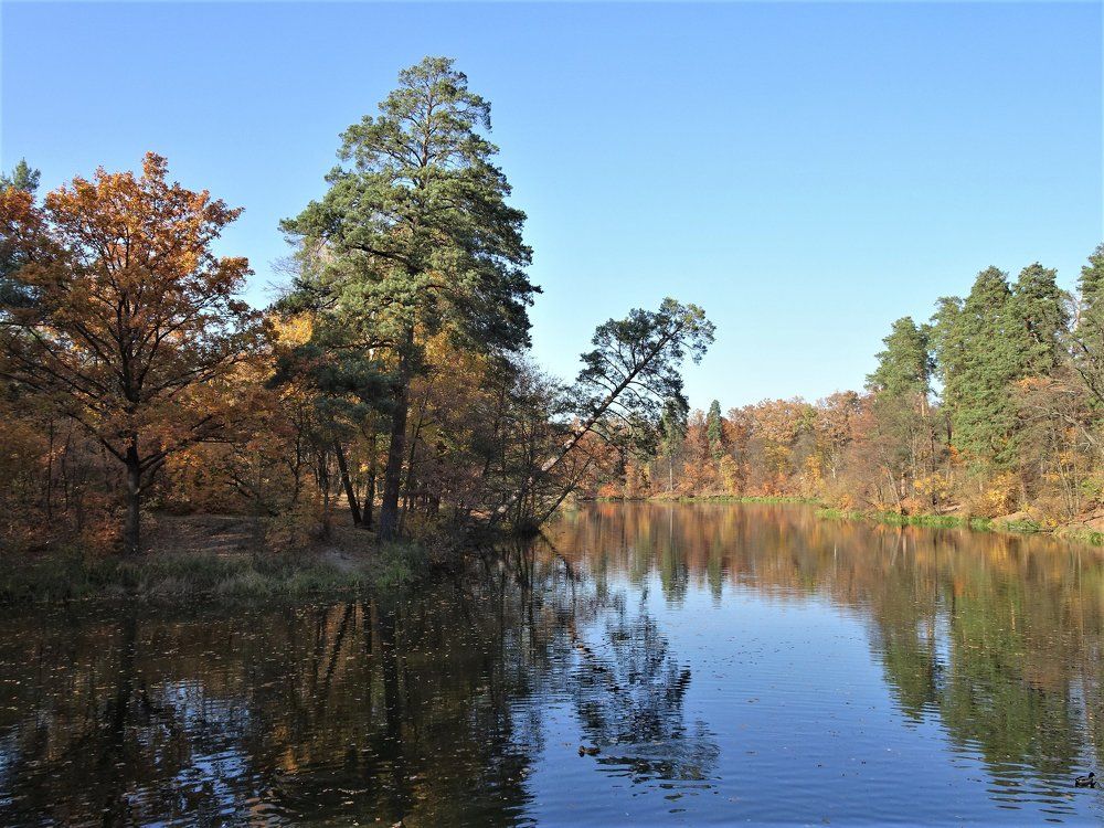 Photograph by Мила Милая