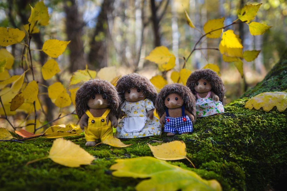 Photograph by Алексей Юдин