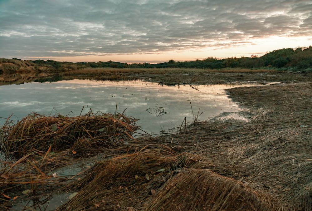 Photograph by Сидоров Антон