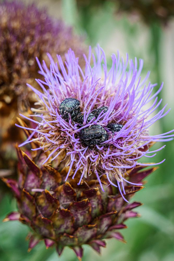 Photograph by Андрей Валерьевич