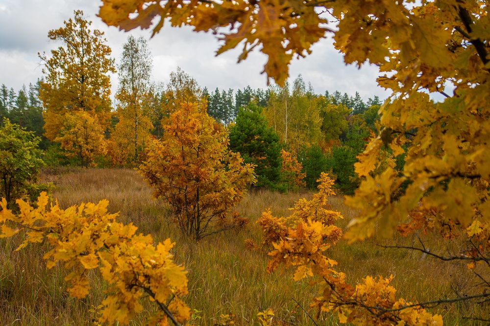 Photograph by Галина Завязкина