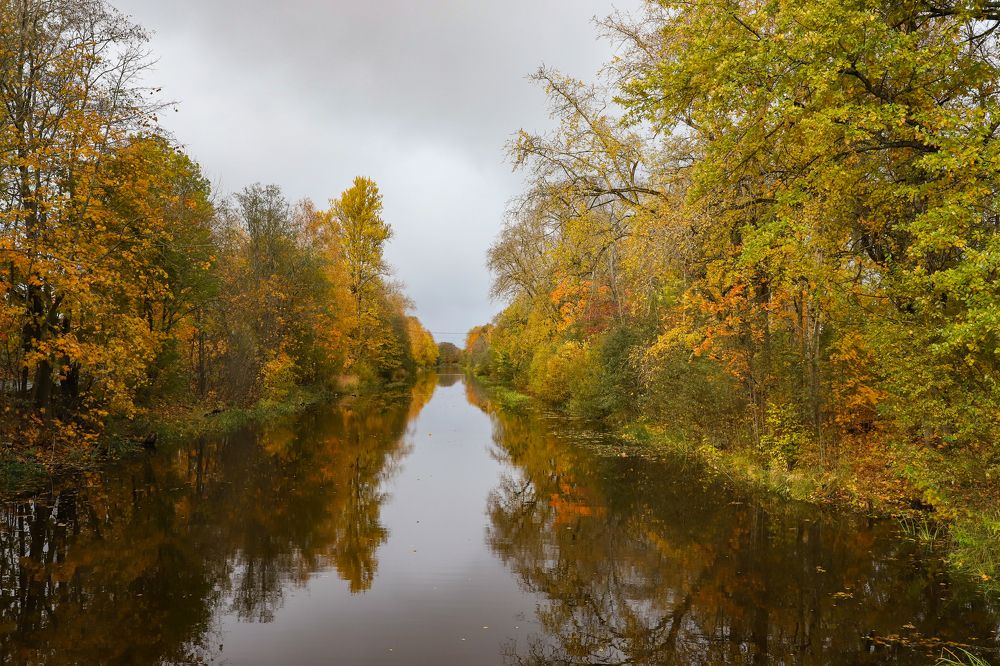 Photograph by Юлия Яковлева