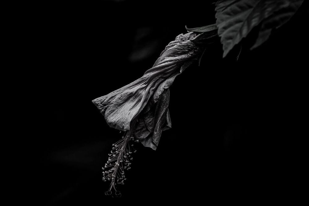 Photograph by Rumi S. Yada