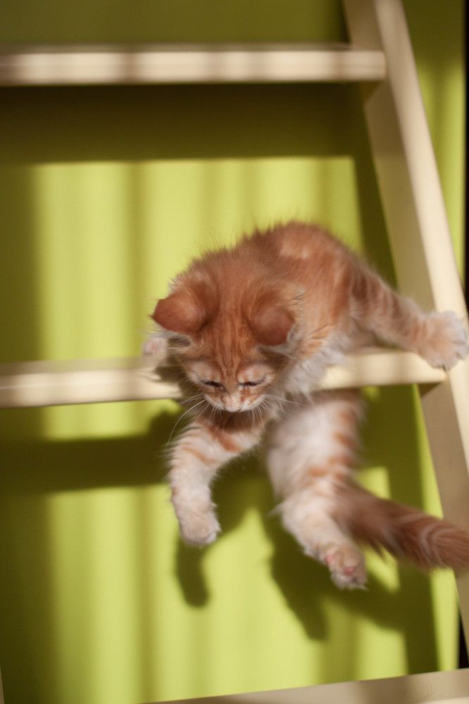 Photograph by Наталья Алина