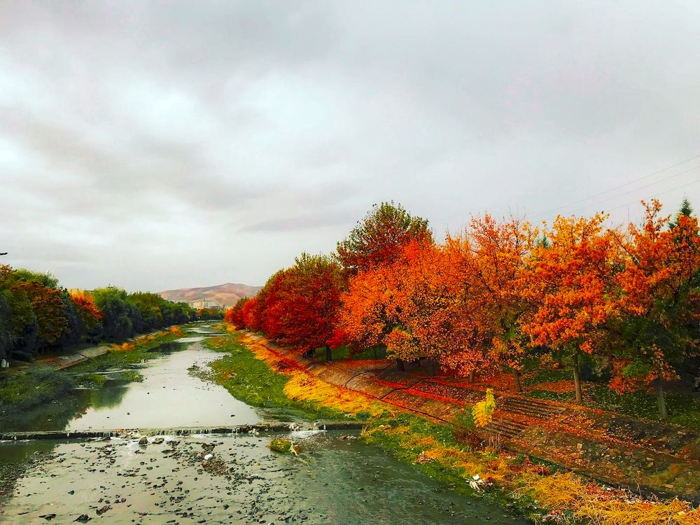 Photograph by naser rezaeian