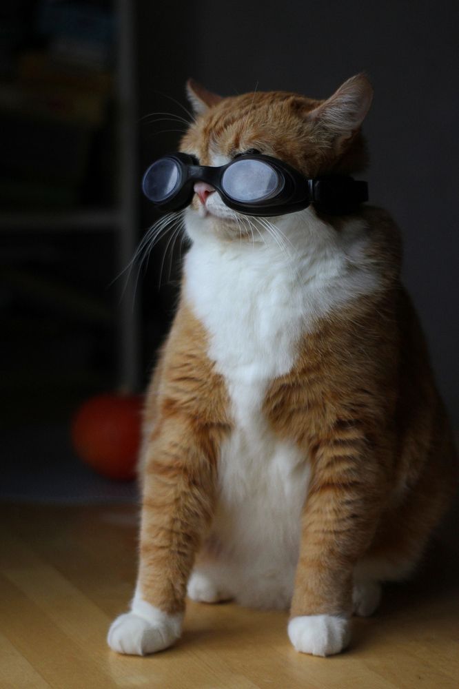 Photograph by Полина Ефимова