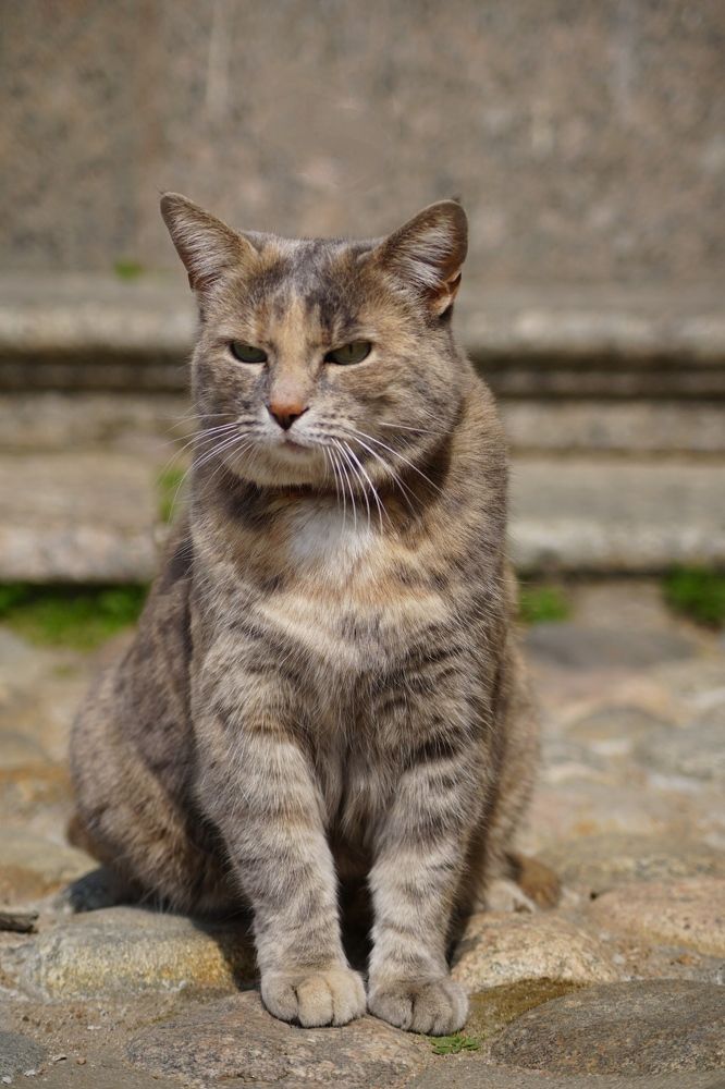 Photograph by Гюзель Даугуль