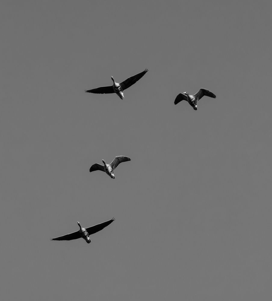 Photograph by Савенко Кирилл