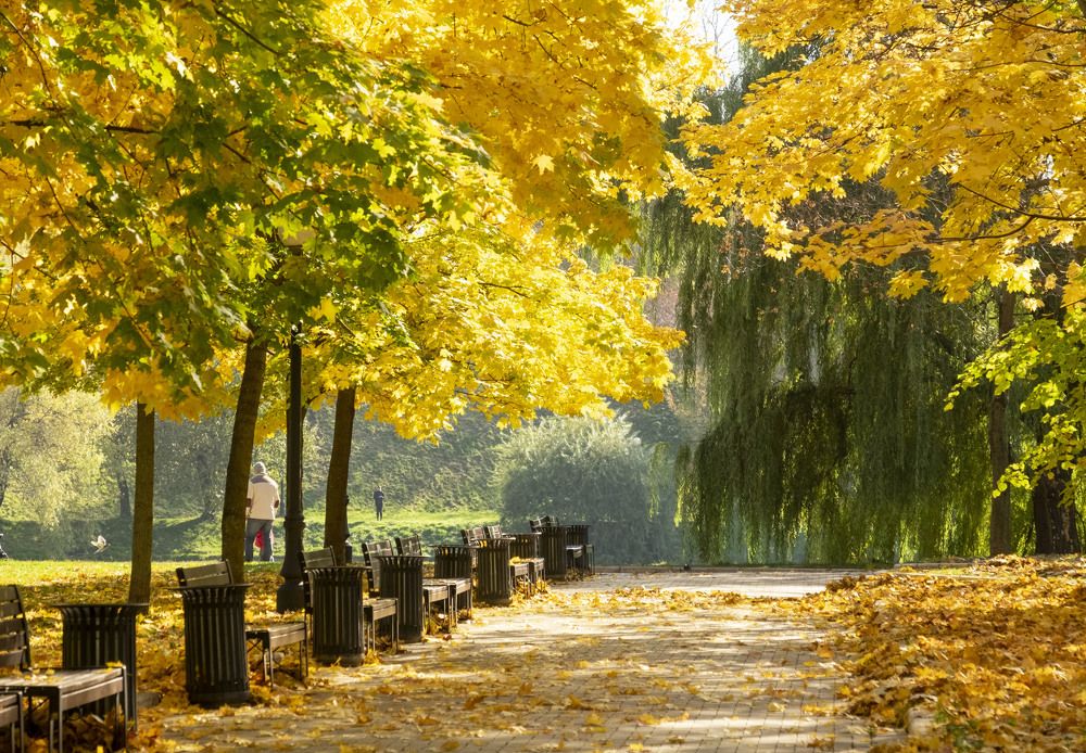 Photograph by Елена Маракулина