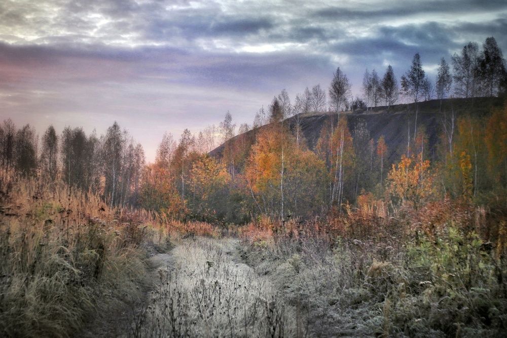 Утро цвета осени