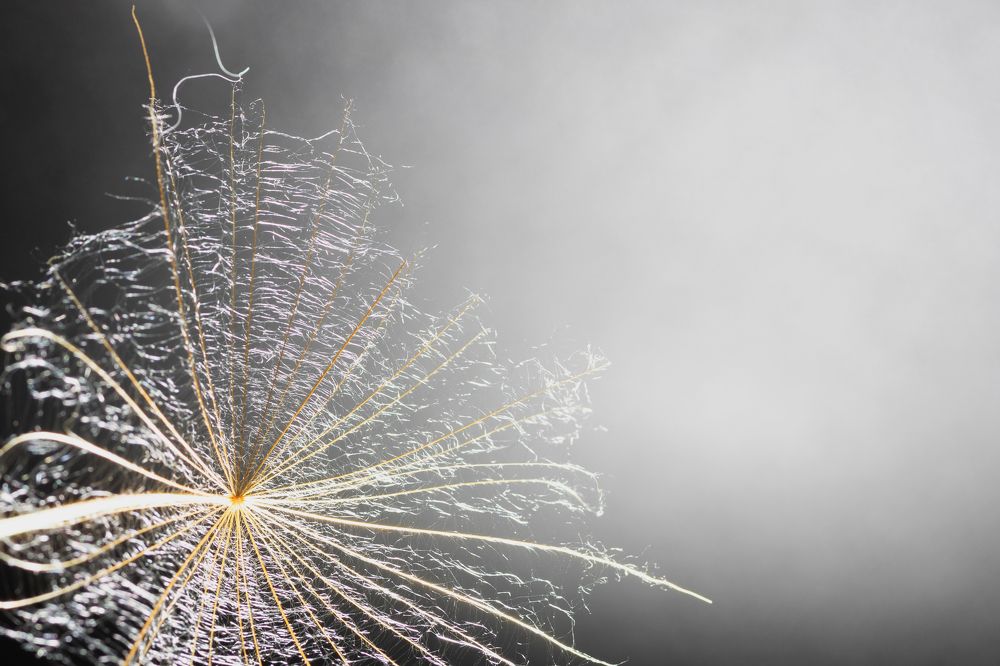 Photograph by Олег Крец