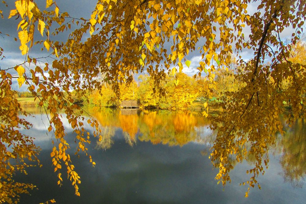 Photograph by Галина Завязкина