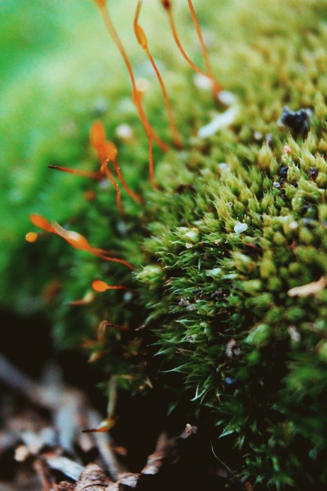 Photograph by Дмитрий Вершинин