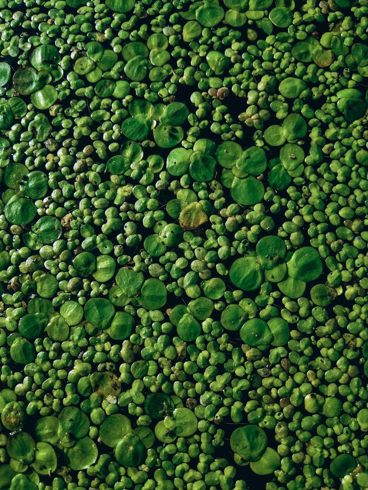 Photograph by Дмитрий Вершинин