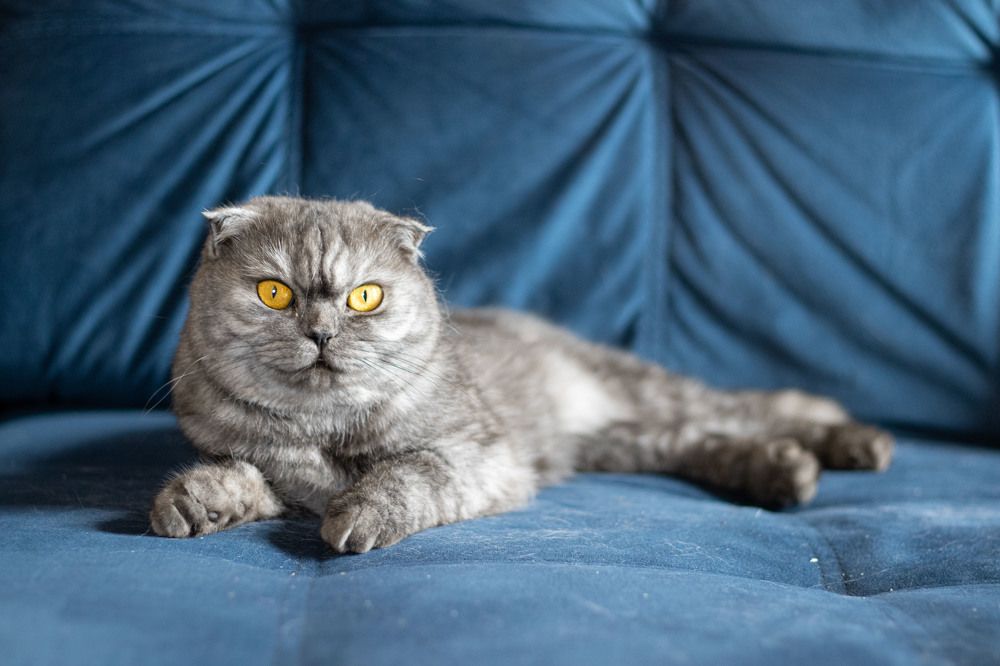 Photograph by Элина Авдеева