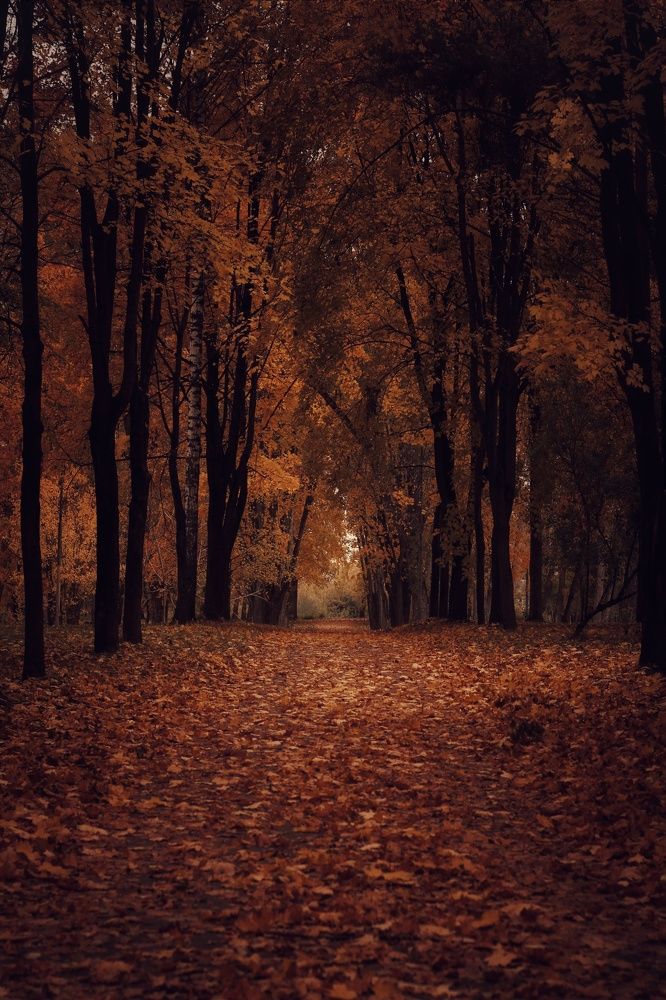 Photograph by Евгений Белов