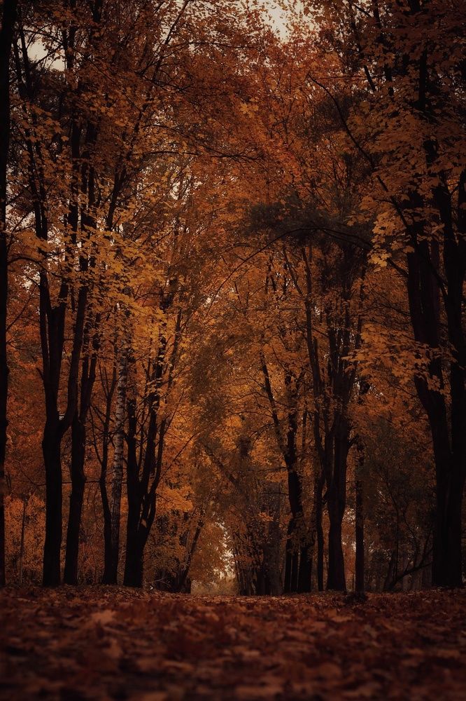 Photograph by Евгений Белов