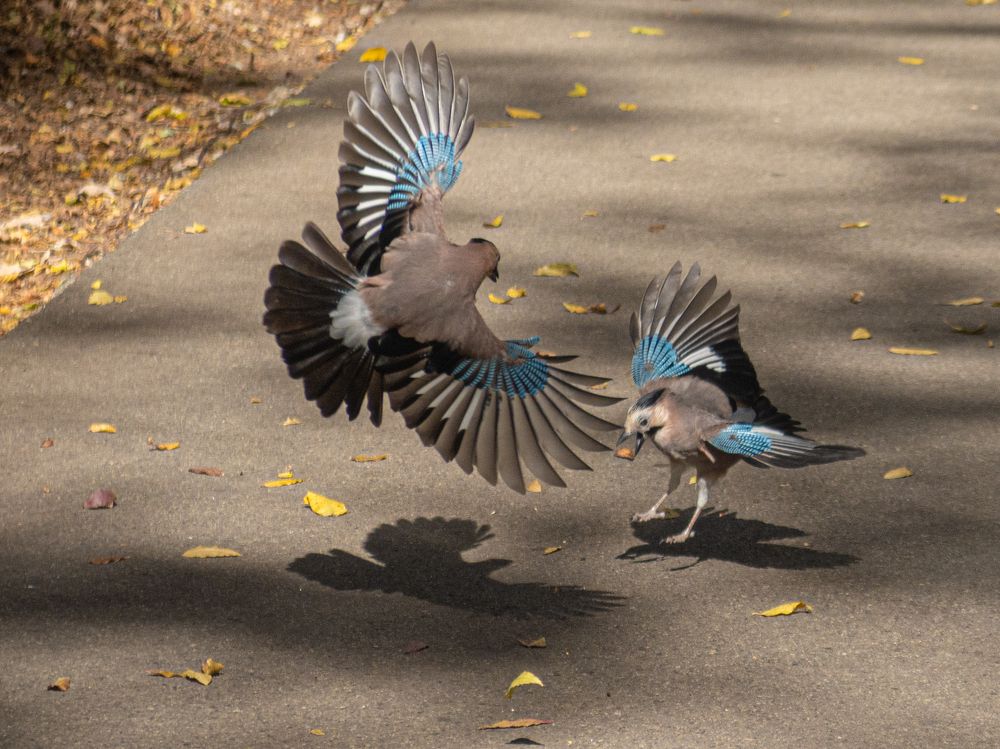 Photograph by Виталий Маслов