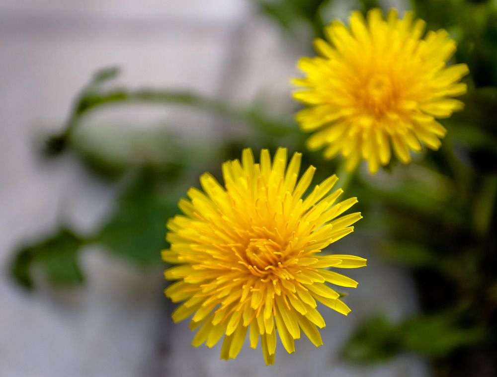 Фотография автора Дмитрий Климов