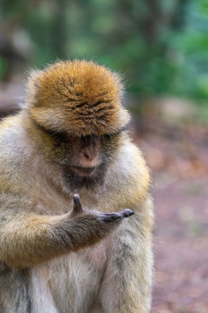 Photograph by esti lahat