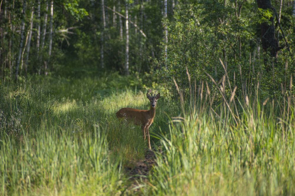 Photograph by Галина Завязкина