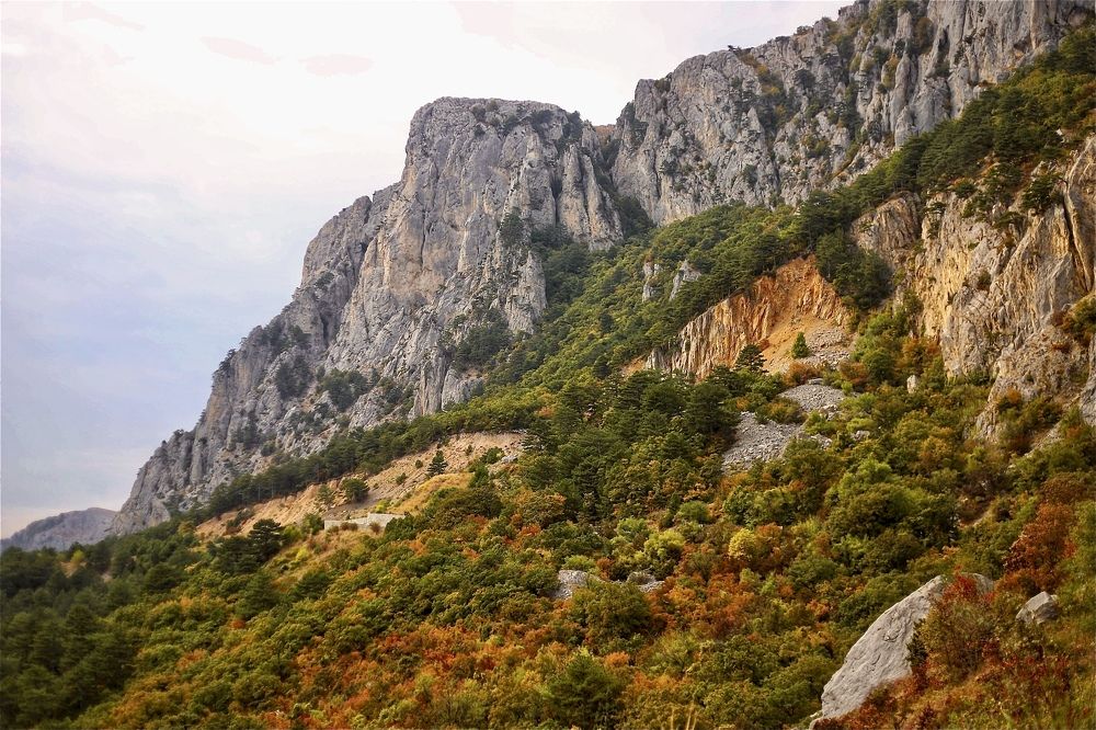 Photograph by Любовь