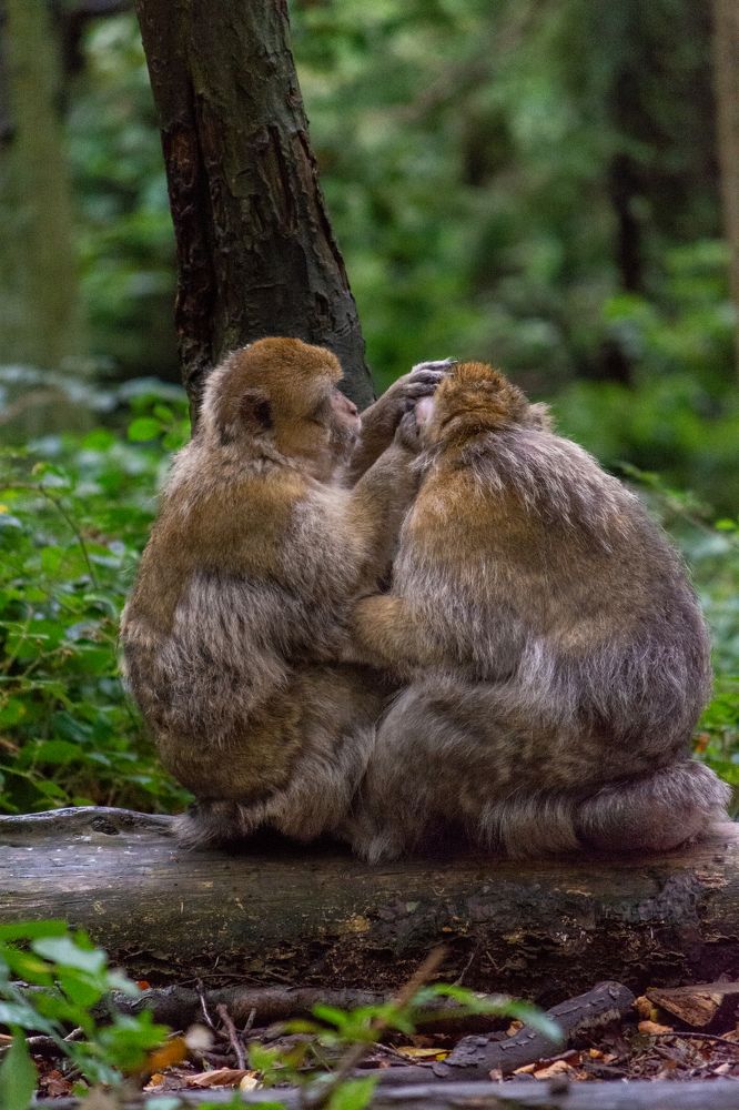 Photograph by esti lahat