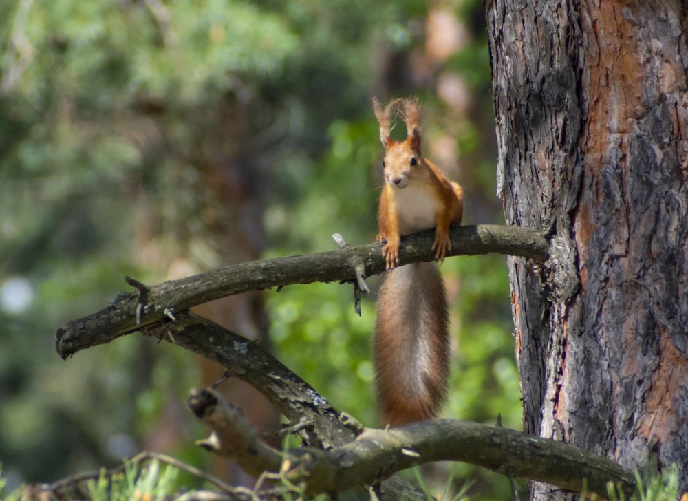 Photograph by Галина Завязкина